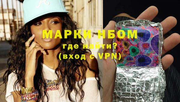 ECSTASY Кукмор