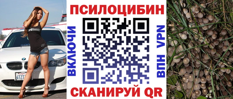 Псилоцибиновые грибы Cubensis  Купить закладки  Калуга 